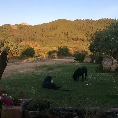 Il Conte B E B Alojamento de Acomodação e Pequeno-almoço